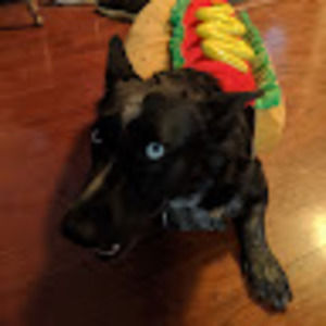 Meet your Posher, Ruellia